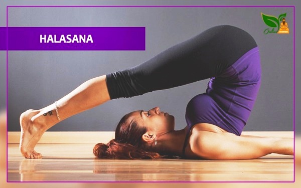 Halasana (Plow Pose) | Benefits of Halasana - The Art of Living